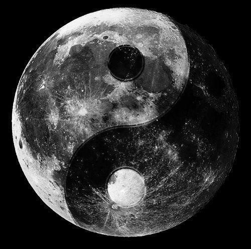 yinyang.jpg